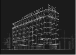 Project preview